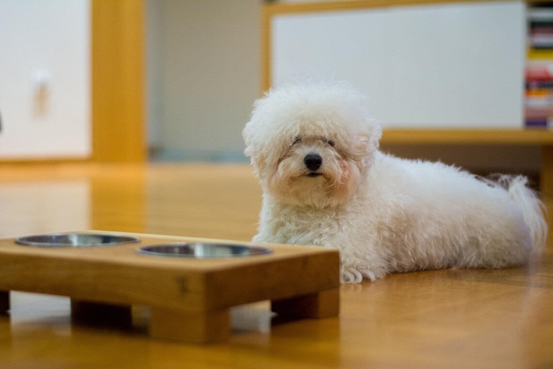 Personalized Wood Dog Bowl Stand