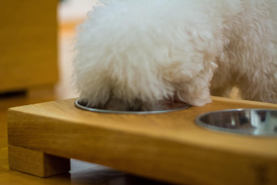 Personalized Wood Dog Bowl Stand