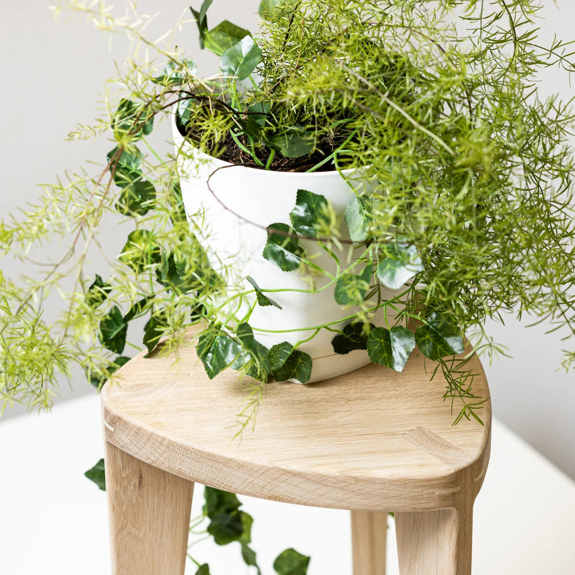 Oak Plant Stand