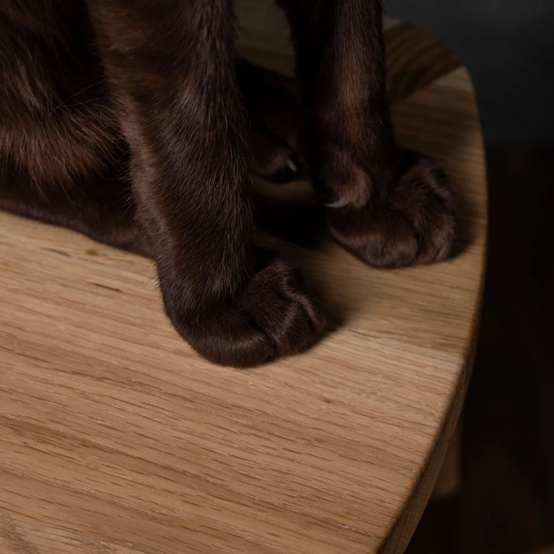 Oak Plant Stand